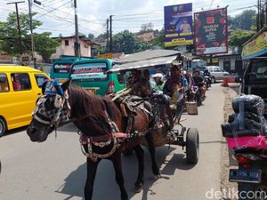 Kusir di Bandung Barat Gigit Jari Saat Mudik dan Libur Lebaran Kusir di Bandung Barat Gigit Jari Saat Mudik dan Libur Lebaran