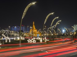 Benarkah Tumbuhan Terganggu dengan Cahaya Lampu pada Malam Hari? Ini Faktanya