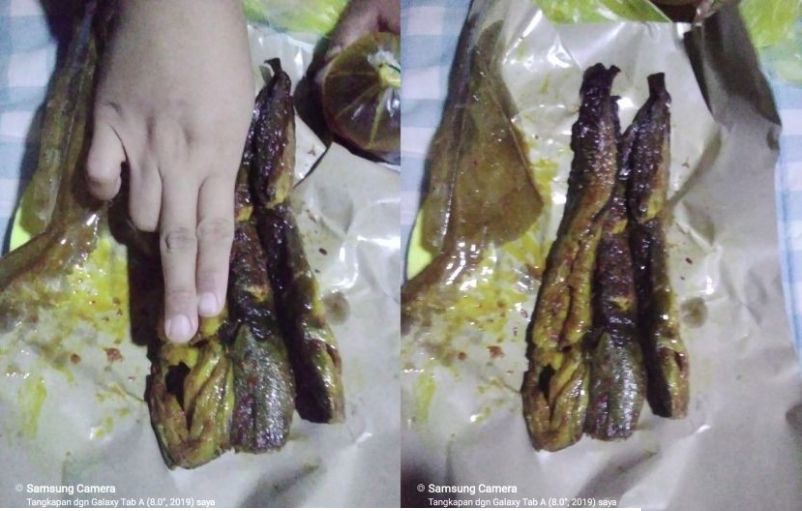 Harga ikan lele mahal