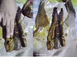 Pria Ini Kesal Beli Lele Goreng Segede Jari Harganya Rp 74 Ribu