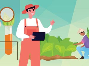 Peran Sampoerna Ciptakan Nilai Ekonomi Lewat Investasi Jangka Panjang Peran Sampoerna Ciptakan Nilai Ekonomi Lewat Investasi Jangka Panjang