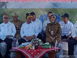 Soal Rencana Pemerintah Impor Beras 2 Juta Ton, Mentan: Jangan Didramatisir