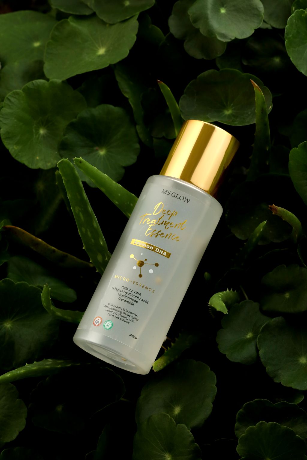 MS GLOW Deep Treatment Essence With Salmon DNA