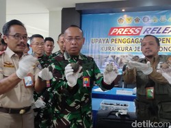 Pengiriman 5.632 Labi-labi Senilai Rp 844 Juta ke Vietnam Digagalkan