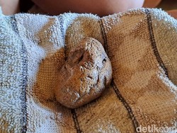 Kisah Batu Petir Ponari, Dulu Obati Ribuan Orang Kini Cuma 9 Pasien