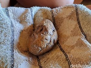 Kisah Batu Petir Ponari, Dulu Obati Ribuan Orang Kini Cuma 9 Pasien Kisah Batu Petir Ponari, Dulu Obati Ribuan Orang Kini Cuma 9 Pasien