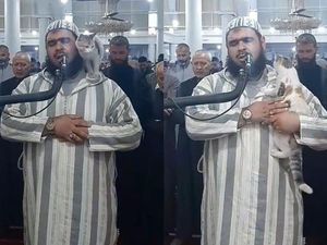 Viral Kucing Ikut Salat Tarawih, Begini Reaksi Imamnya saat Dijahili