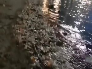 Viral Pantai Ancol Dipenuhi Sampah, Ini Penjelasan Dinas LH DKI