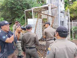 3 Tower BTS Bodong di Kuta Selatan Dibongkar, Jumlahnya Bakal Bertambah