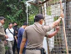 Badung Stop Keluarkan Izin Tower, Bongkar per Unit Habiskan Rp 20 Juta