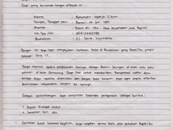 Contoh CV Tulis Tangan yang Lengkap Agar Dilirik HRD
