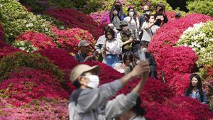 Keindahan Bunga Azalea yang Mekar Ini Bikin Kangen Tokyo!