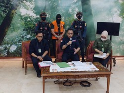 KLHK Tangkap Cukong Tambang Ilegal di Hutan Mangrove Belitung Timur