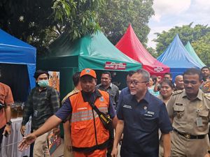 Mendag: Beras Sekarang Banyak, Harga Turun Sampai Rp 300-500