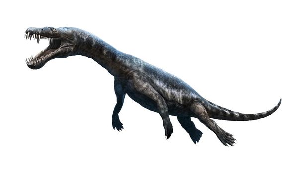 Nothosaurus 3D illustration