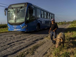 Dulu Bagi-bagi Makan Siang Gratis, Negara Ini Kini Dihantam Krisis Pangan
