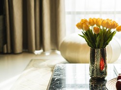 Sering Gagal Rawat Tanaman? Mungkin Saatnya Beralih ke Tanaman Palsu