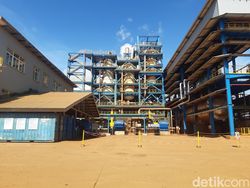 Perjalanan Panjang ke Pulau Terpencil RI yang Kaya Harta Karun Nikel