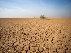 Pakar BRIN Sebut Super El Nino, El Nino 2026 Diprediksi Mengganas