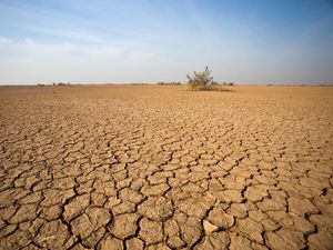 Pakar BRIN Sebut Super El Nino, El Nino 2026 Diprediksi Mengganas