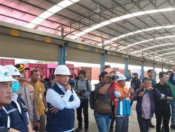 Buwas Jamin Daging Kerbau Impor dari India Bebas PMK dan Halal