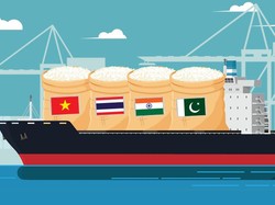 132 Ribu Ton Beras Impor Masuk Gudang Bulog, dari 4 Negara Ini