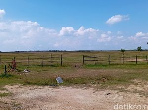 3 Fakta Erupsi Oro-oro Kesongo Blora Makan Korban Jiwa