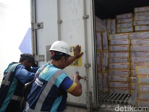 100 Ribu Ton Daging Kerbau India Bakal Banjiri RI 100 Ribu Ton Daging Kerbau India Bakal Banjiri RI