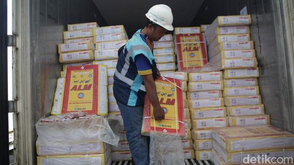 Penampakan 18.000 Ton Daging Kerbau Impor Tiba di Tanjung Priok