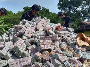 1,5 Juta Butir Petasan Dimusnahkan Polisi di Indramayu 1,5 Juta Butir Petasan Dimusnahkan Polisi di Indramayu