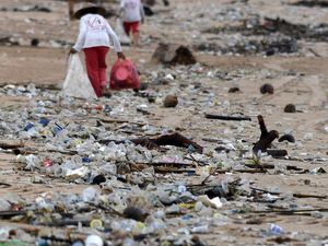 Bali Larang Air Kemasan Plastik, Wajib Pakai Tumbler Mulai 3 Februari Bali Larang Air Kemasan Plastik, Wajib Pakai Tumbler Mulai 3 Februari