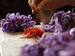 Saffron on Table HD