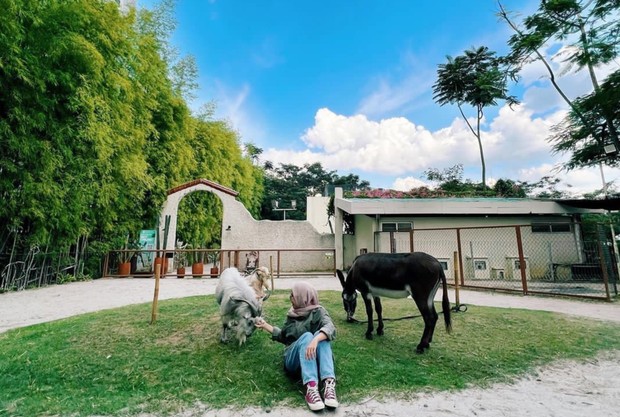 Scientia Square Park/ foto: Instagram/ scientiasquare.park Perempuan duduk sambil memberi makan kambing