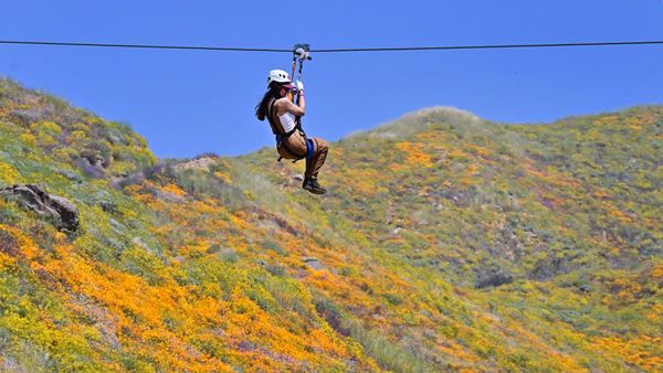 Serunya Meluncur di Atas Hamparan Bunga yang Bermekaran