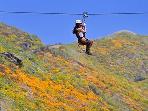 Serunya Meluncur di Atas Hamparan Bunga yang Bermekaran