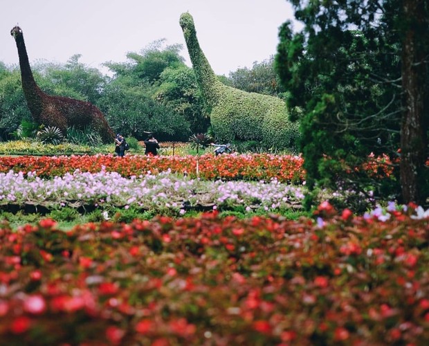 Taman Bunga Nusantara/ foto: Freepik/ tamanbunganusantara Pemandangan bunga