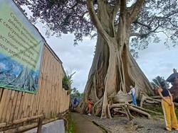 Polres Tabanan-Imigrasi Duet Menyelidiki Bule Bugil di Kayu Putih