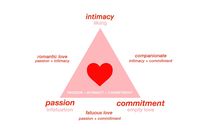 Triangular Theory Of Love: Rumus Cinta Yang Ditemukan Oleh Robert Sternberg