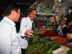 Mardiono Dampingi Jokowi Cek Stok Pangan: Baik & Harga Stabil