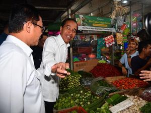 Mardiono Dampingi Jokowi Cek Stok Pangan: Baik & Harga Stabil Mardiono Dampingi Jokowi Cek Stok Pangan: Baik & Harga Stabil