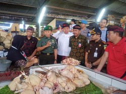 H-8 Lebaran, Harga Daging Ayam Meroket-Cabai Anjlok