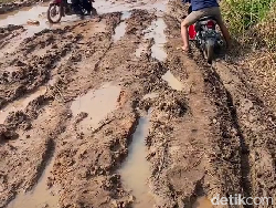 Perjalanan Heboh Jalan Lampung Dajjal, Sampai Bikin Jokowi Turun Tangan!
