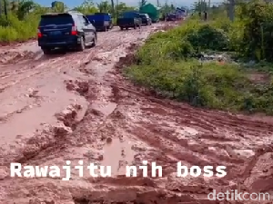 Jokowi Ikut Pelototi Jalan Lampung Rusak yang Viral, Besok ke Lokasi