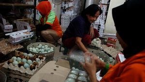 Produksi Telur Asin Brebes Meningkat 3 Kali Lipat Jelang Arus Mudik