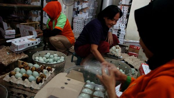 Produksi Telur Asin Brebes Meningkat 3 Kali Lipat Jelang Arus Mudik