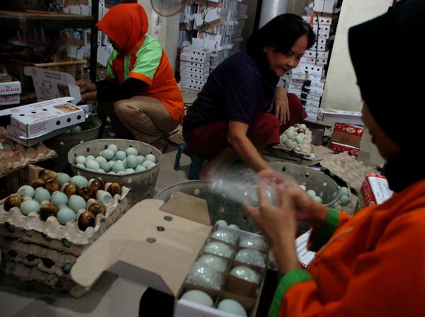 Produksi Telur Asin Brebes Meningkat 3 Kali Lipat Jelang Arus Mudik