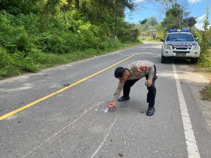 Pemotor di Enrekang Tewas Terlindas Truk saat Jatuh dengan Kecepatan Tinggi