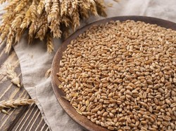 Kapan Harus Bayar Fidyah untuk Ganti Utang Puasa Ramadan?