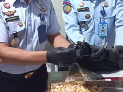 Penyelundupan Sabu Lewat Takjil ke Lapas Malang Digagalkan