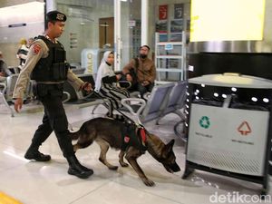 Anjing Pelacak Sisir Stasiun Gambir Jelang Puncak Arus Mudik